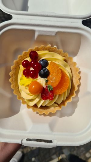  at Palo Verde in Prague