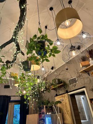   at Palo Verde in Prague