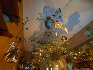  at Palo Verde in Prague