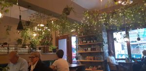  at Palo Verde in Prague