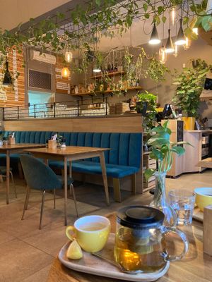  at Palo Verde in Prague