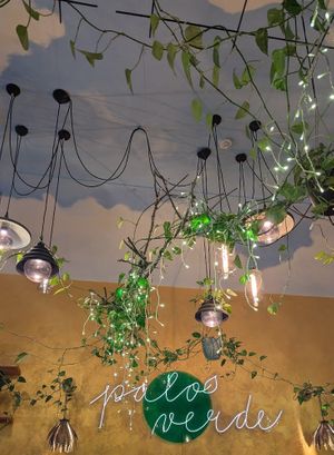  at Palo Verde in Prague