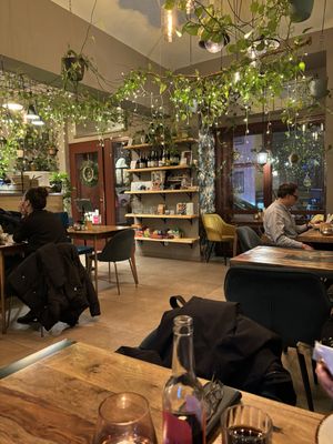   at Palo Verde in Prague