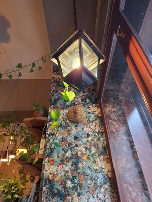  at Palo Verde in Prague