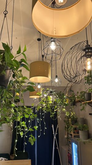   at Palo Verde in Prague