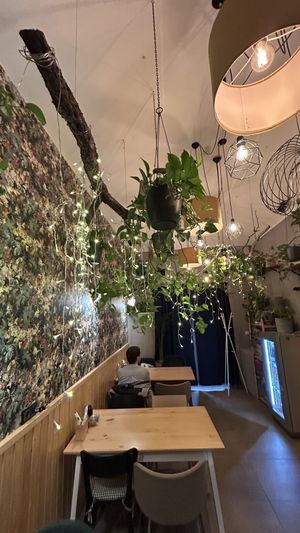   at Palo Verde in Prague