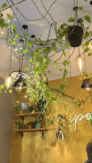   at Palo Verde in Prague