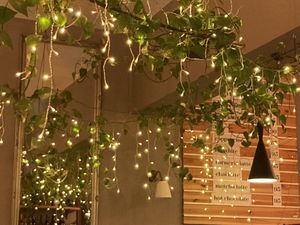   at Palo Verde in Prague