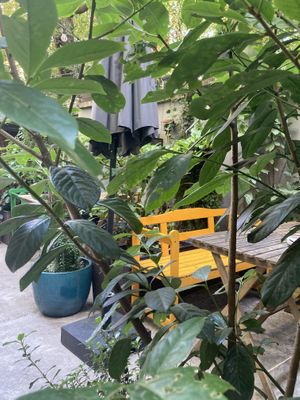   at Palo Verde in Prague