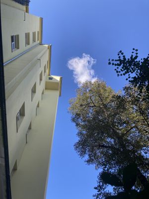   at Palo Verde in Prague