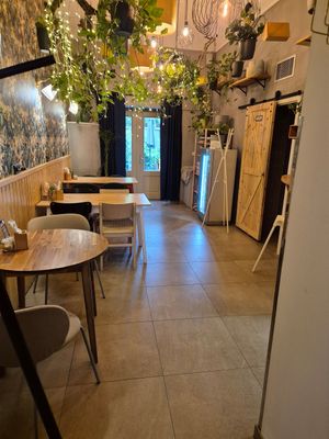 Palo Verde at Palo Verde in Prague