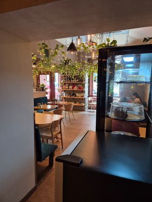 Palo Verde at Palo Verde in Prague