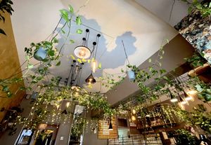   at Palo Verde in Prague