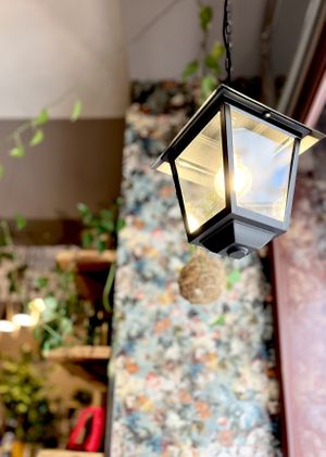   at Palo Verde in Prague