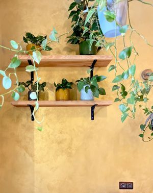   at Palo Verde in Prague