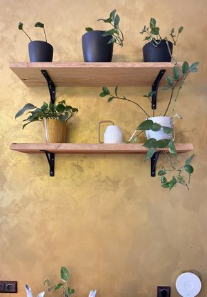   at Palo Verde in Prague