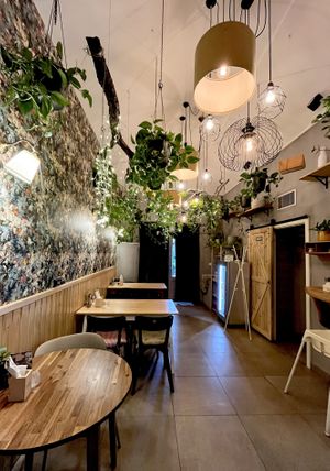   at Palo Verde in Prague