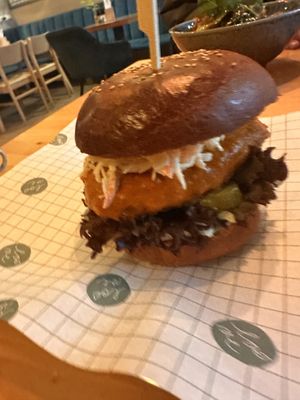   at Palo Verde in Prague