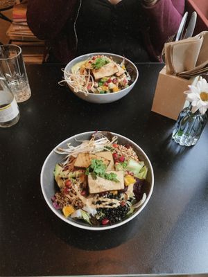 Bowl at Palo Verde in Prague