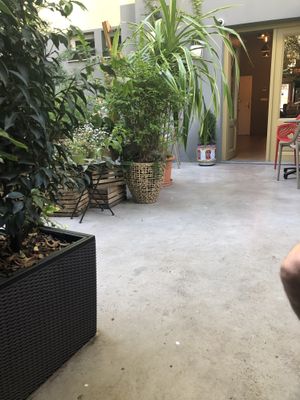 Outside seating in the back! Beautifull at Palo Verde in Prague