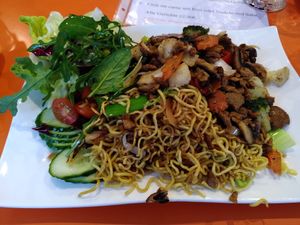 Seitan with noodles at Hippo Bio Vegan in Hannover