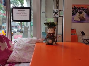  at Hippo Bio Vegan in Hannover