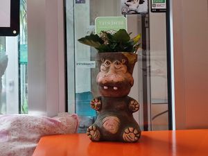  at Hippo Bio Vegan in Hannover