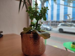  at Hippo Bio Vegan in Hannover