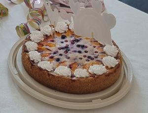 Käsekuchen mit Obst at Hippo Bio Vegan in Hannover