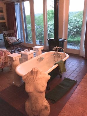 Our Studio has an east facing wall of doors offering fabulous views. Total privacy.   at Flower Hill Farm Retreat  in Williamsburg