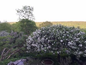 View outside the Studio. at Flower Hill Farm Retreat  in Williamsburg