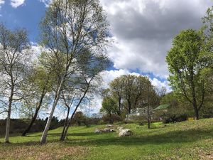 You can spend hours on the grounds of Flower Hill Farm Retreat. Fields and garden paths meander through the hillside wildlife habitat. Birds and butterflies and a forest too! at Flower Hill Farm Retreat  in Williamsburg