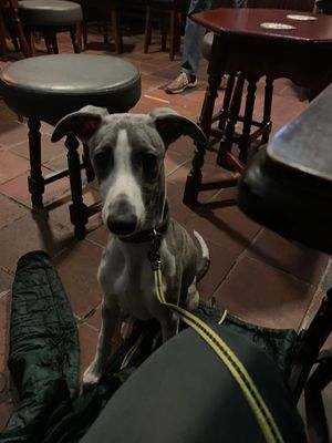 Dog and family friendly pub! 💕 at The Butchers Arms in Stoke-on-trent