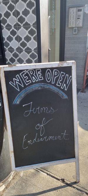  at Terms of Endearment in Brooklyn