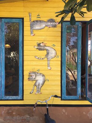 Cats at PainaPaita at Paina Paita Home in Pai