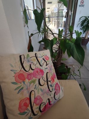 Indoors at Karma in Jaco