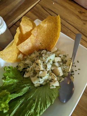 Ceviche at Karma in Jaco