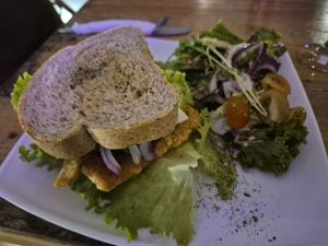 Tofu Sandwich at Karma in Jaco