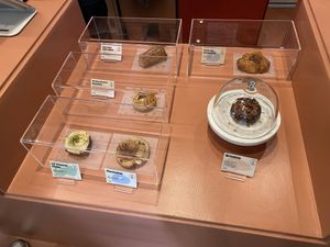   at Buddy Buddy in Brussels