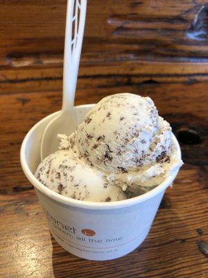 Mint Chip Ice Cream cup at Back To Eden Bakery in Portland