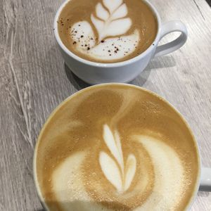 Lattes at Back To Eden Bakery in Portland