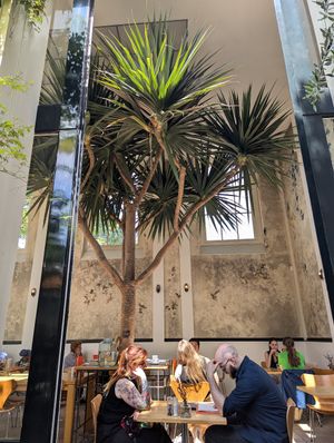  at Hortus Botanicus in Amsterdam