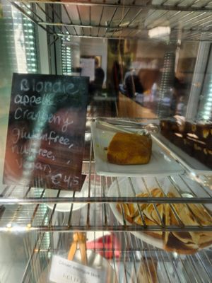  at Hortus Botanicus in Amsterdam