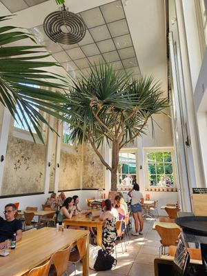  at Hortus Botanicus in Amsterdam