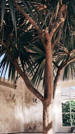 Genieten van al het groen  at Hortus Botanicus in Amsterdam