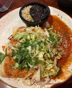 Vegan Enchiladas   at Universal Studios - Antojitos Authentic Mexican Food in Orlando