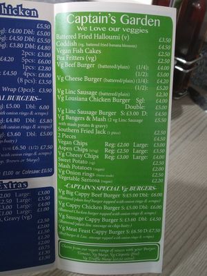 Extensive vegan menu. at Captain Cod in Boston