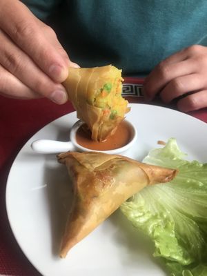 Vegan samosas  at Karma in Nancy