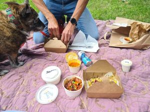 picnic in the park at Bhaji Pala in Gatley