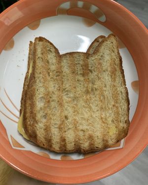 vegan grilled cheese  at The Kitty Beautiful in Orlando